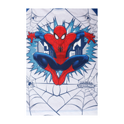 Conjunto Spider-Man Bebé